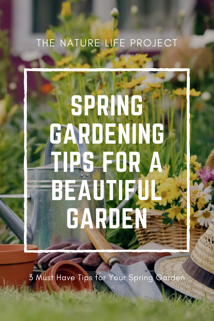 Spring Gardening Tips The Nature Life Project